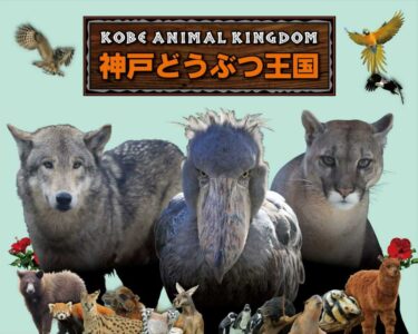 KOBE ANIMAL KINGDOM