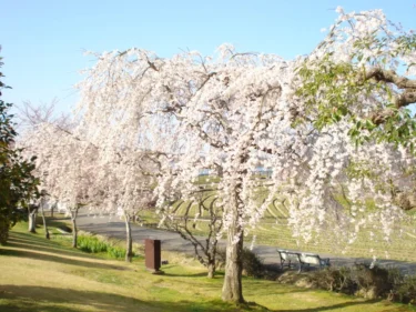 Tondabayashi City Agricultural Park Savor Farm