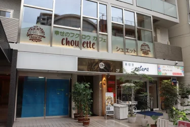 幸福的猫头鹰咖啡屋 chouette(秀爱陶)