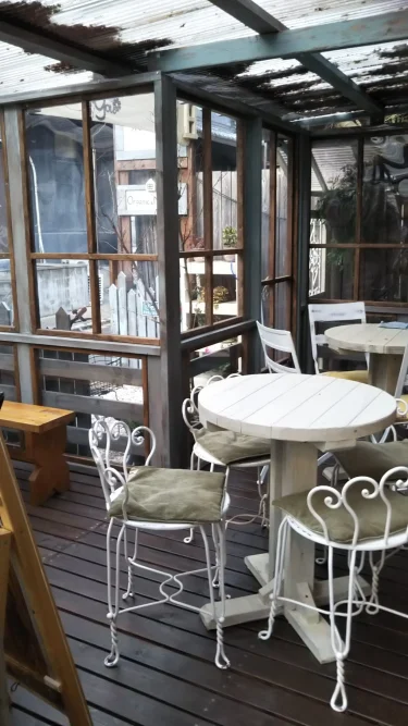 素食咖啡　乐梦菜