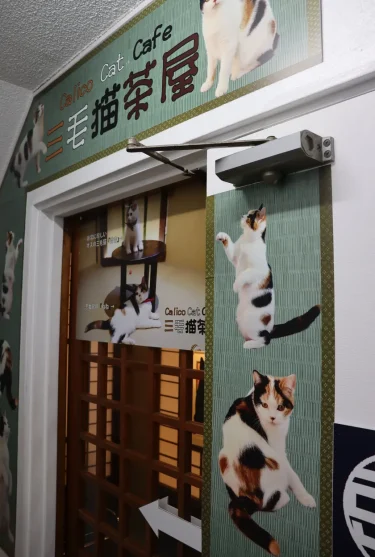 三毛猫茶屋